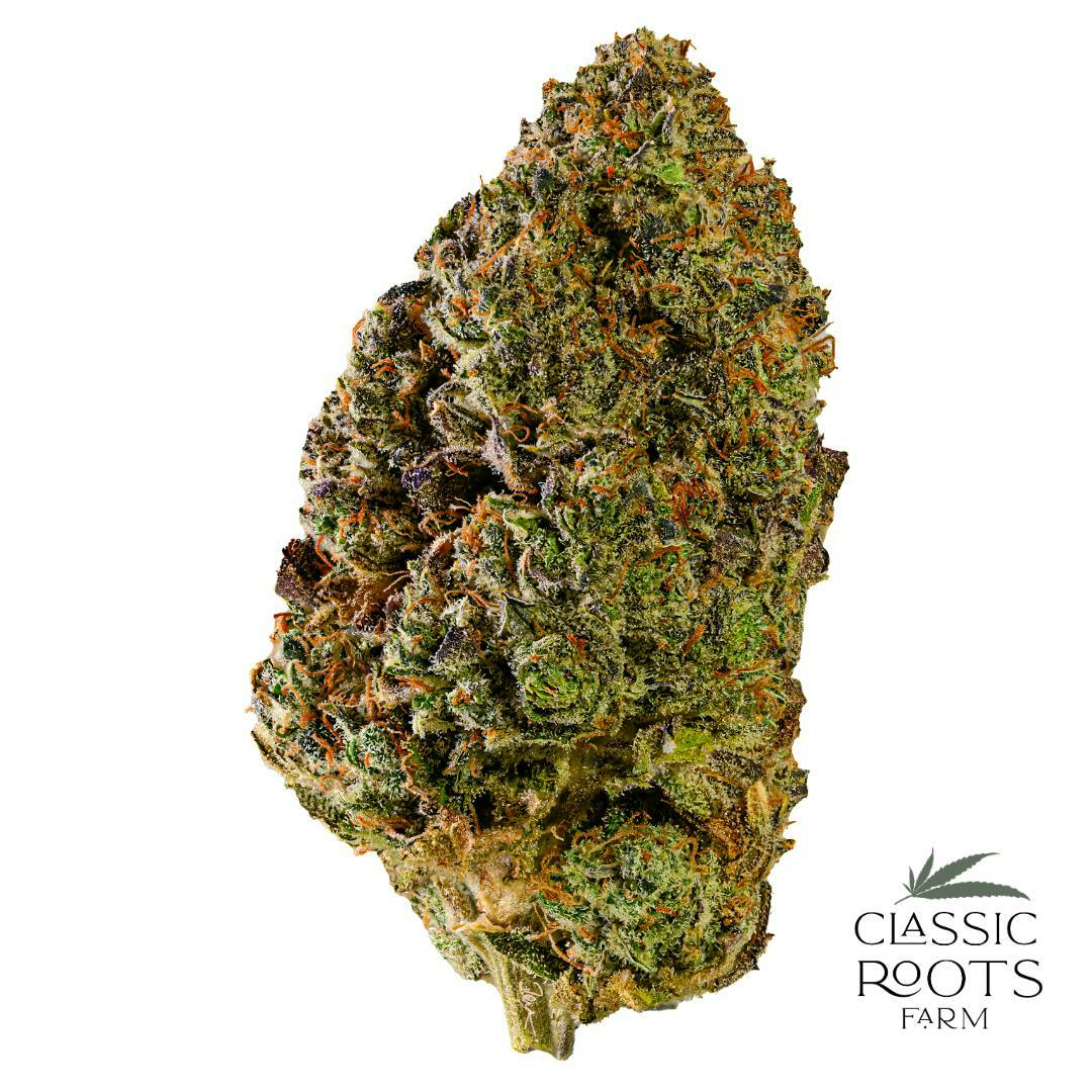Classic Roots Farm | Murder Mint | Flower