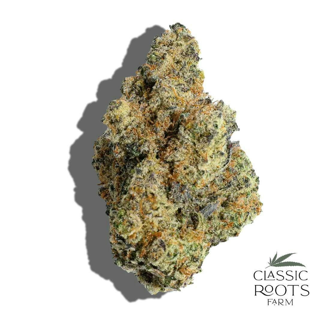 Classic Roots Farm | Daily Slap | Flower by Classic Roots Farm
