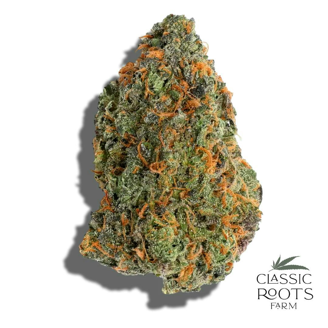 Classic Roots Farm | Frosted Cherries | Flower