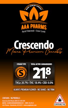 Crescendo - Pre Roll