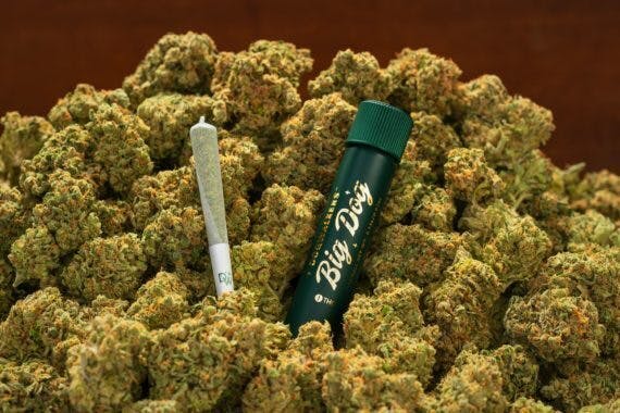 Dogwalkers .75g Big Dog Pre Rolls | Brownie Scout at RISE Dispensary