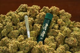 [REC] Big Dogs | Durban Z | 1g/1pk Preroll (infused)