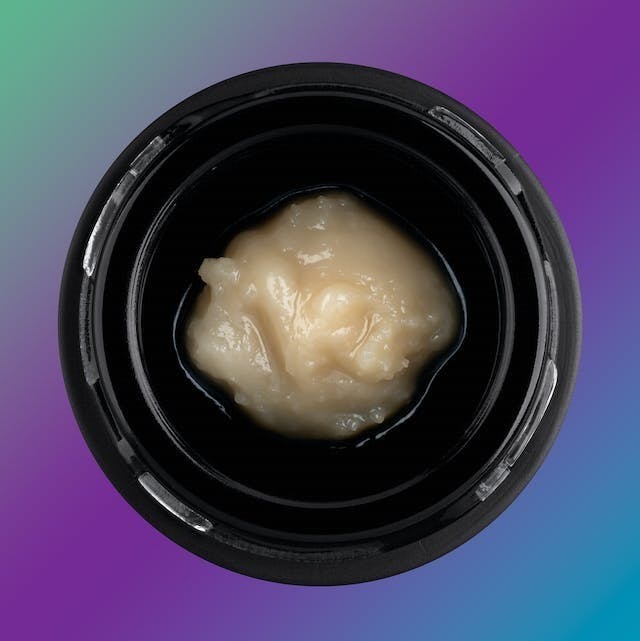 Honey Bunny #3 Full Spec