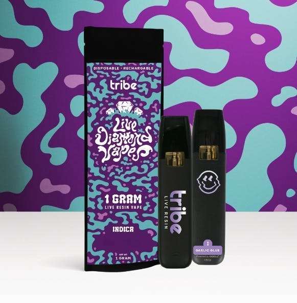 Tribe | Fermented Froots | Live Diamonds Disposable | 1g