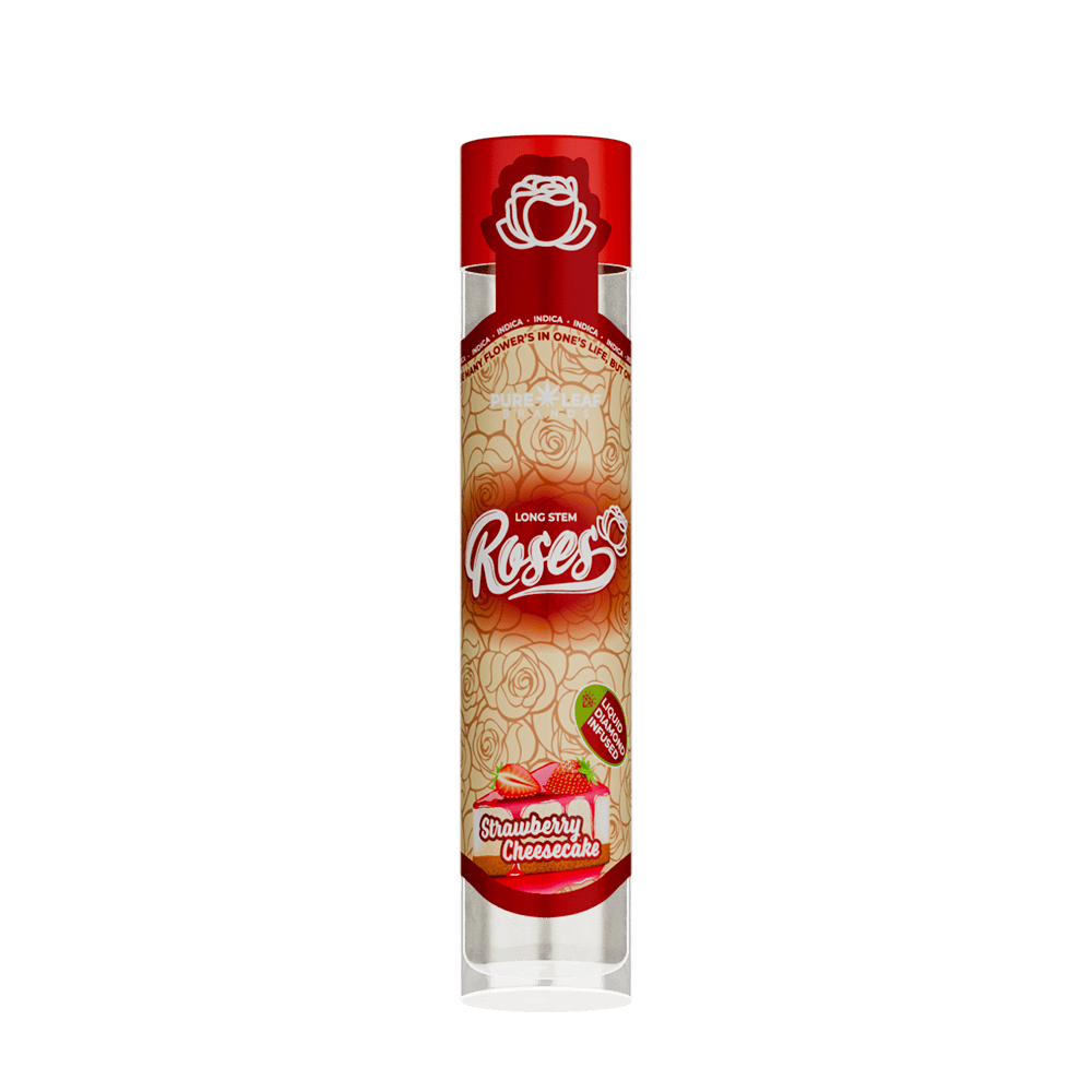 Strawberry Cheesecake Long Stem Hybrid