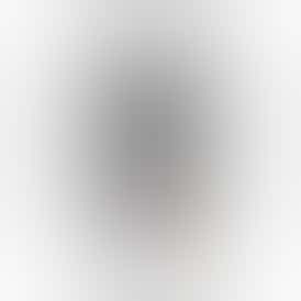 Common Citizen Detroit Purps Prepackaged 28g