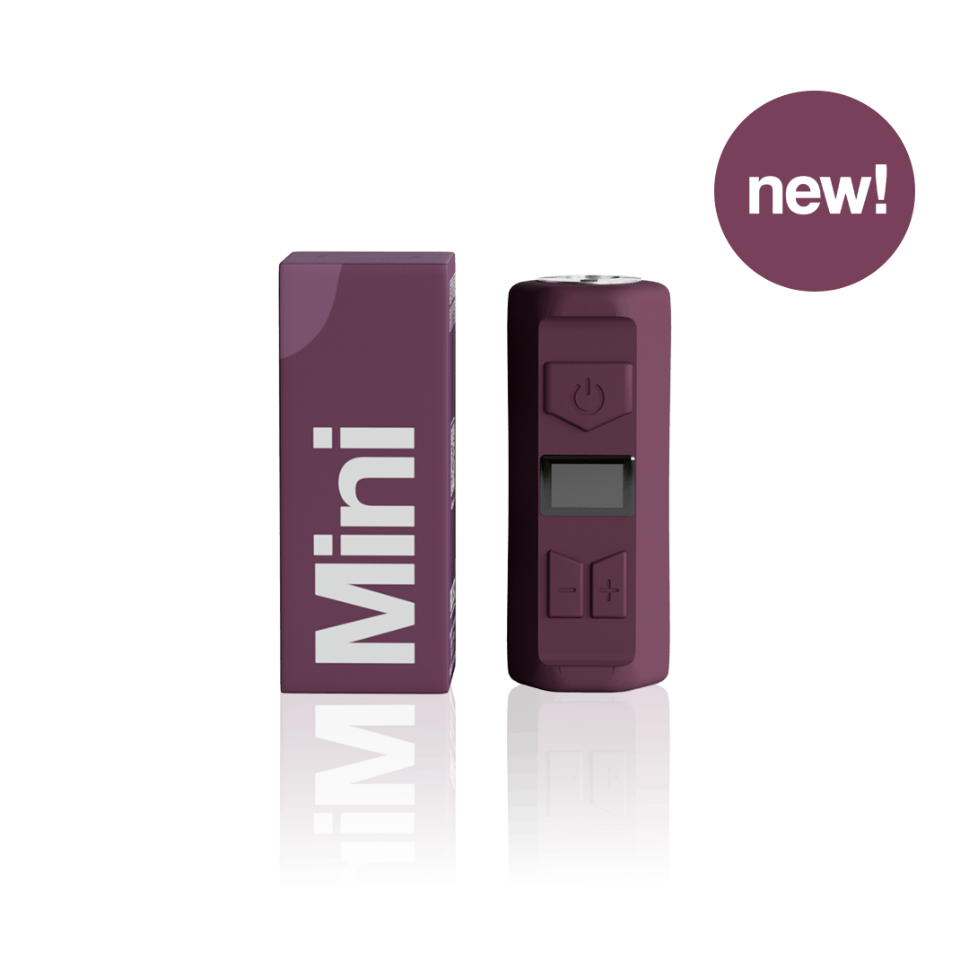 Boost! - Mini Battery - Plum
