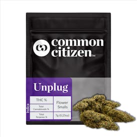 Common Citizen Garlic Breath Prepackaged 7g