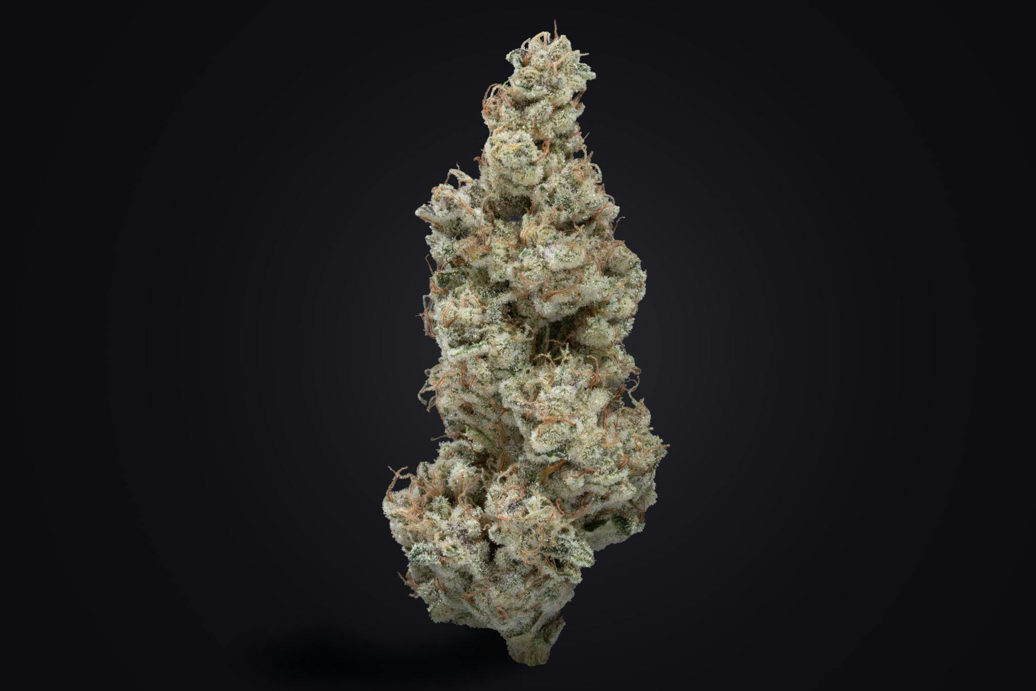 Pitted Cherry at The Dispensary Breckenridge