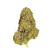 Black - Wedding Trees (H) - 14g