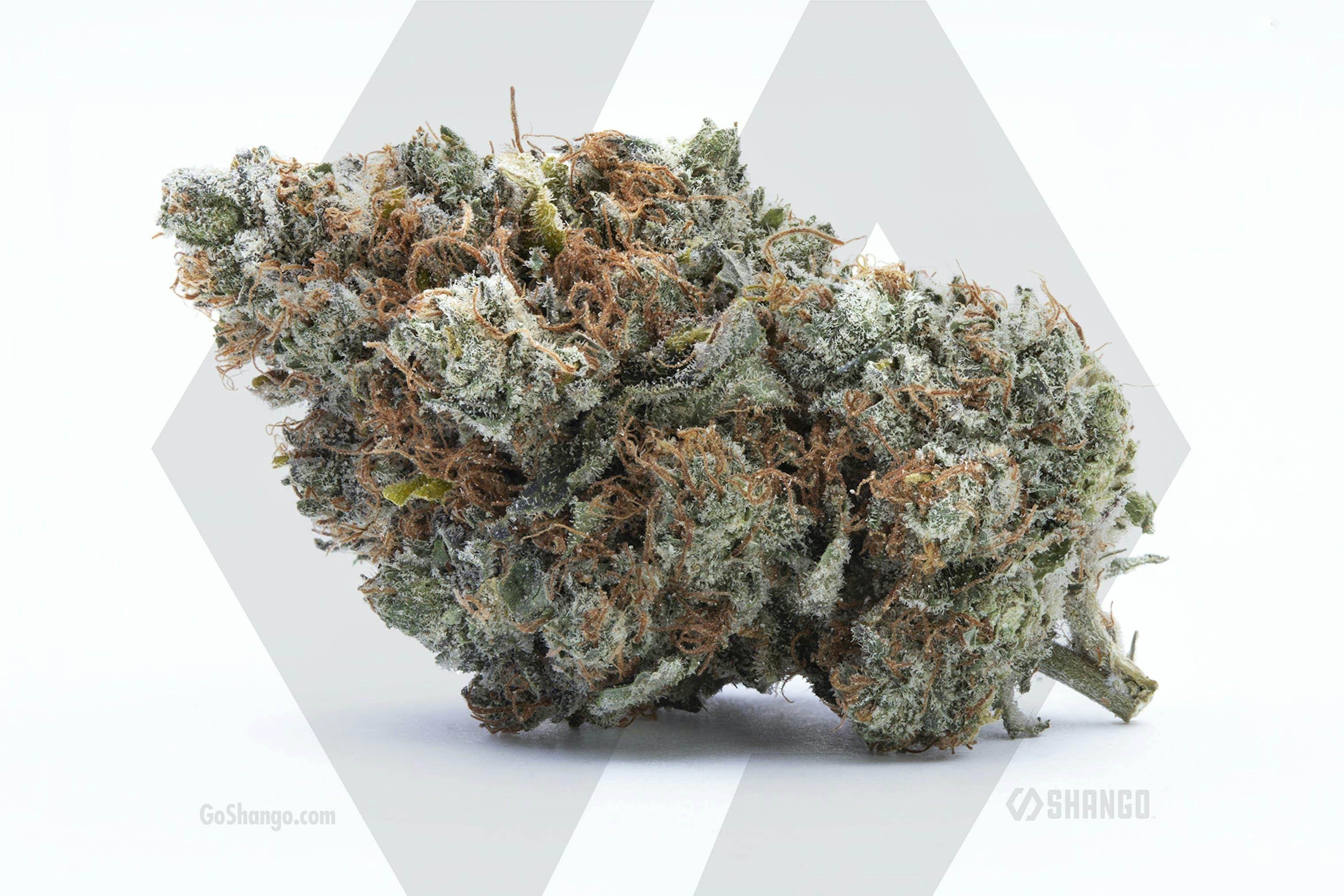 Chem Chills 1g by Shango