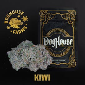 Kiwi - 3.5g Mylar Bag - Sativa