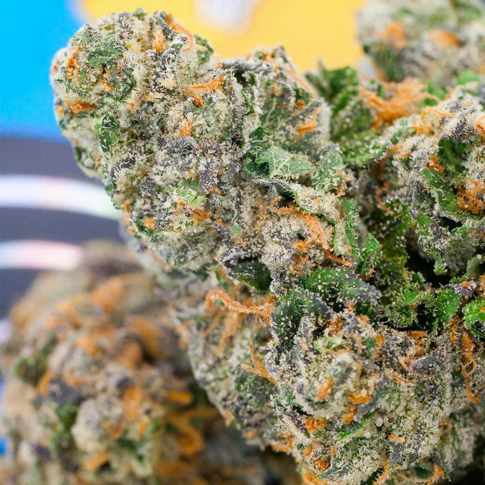 TEDS BUDZ — Sweet