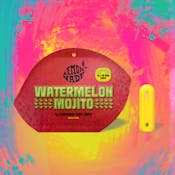 LEMONNADE | WATERMELON MOJITO - AIO | CARTRIDGE | 1G