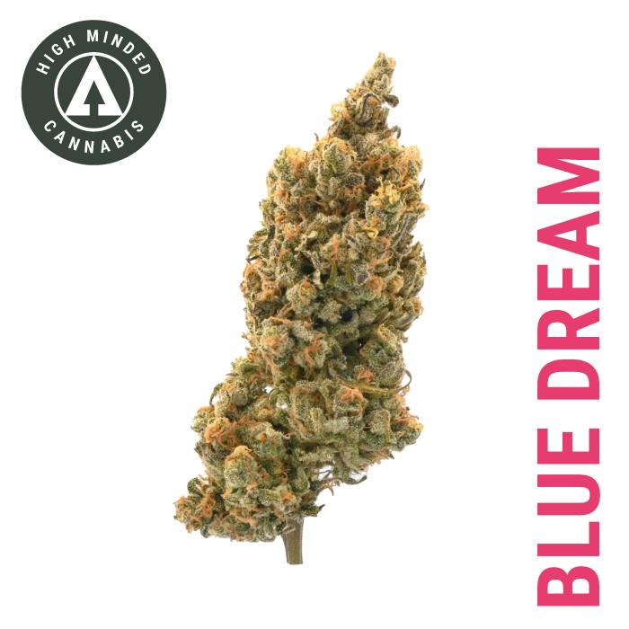 Blue Dream by High Minded