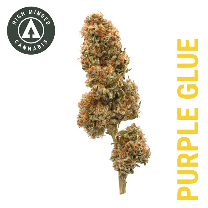 Purple Glue by High Minded