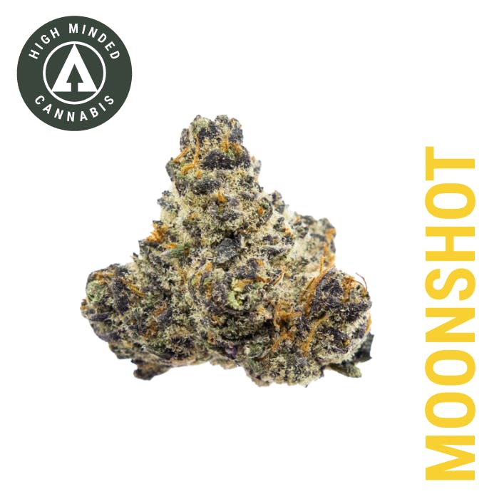 High Minded | Moonshot | Big Buds | 1g by High Minded