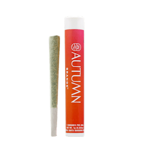 AUTUMN BRANDS - Fuel OG - 1g Preroll