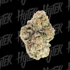 HYTEK | MOTORBREATH 15 | BULK DELI FLOWER