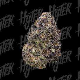 HYTEK | PERMANENT MARKER | BULK DELI FLOWER