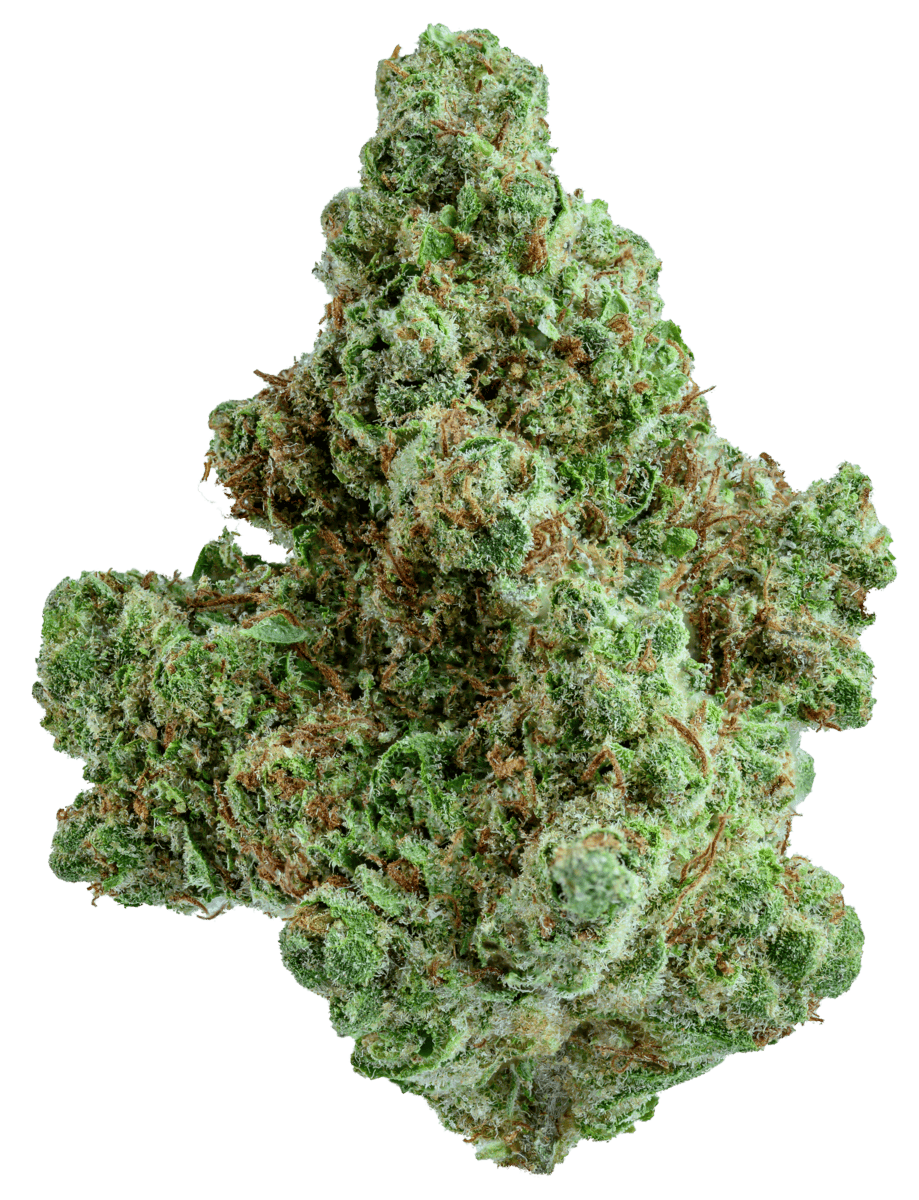 Berry Pie Sativa