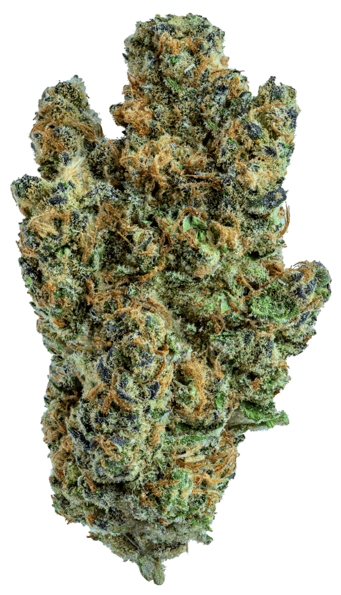GOLD STANDARD | GELATO 33 | 28G by Gold Standard