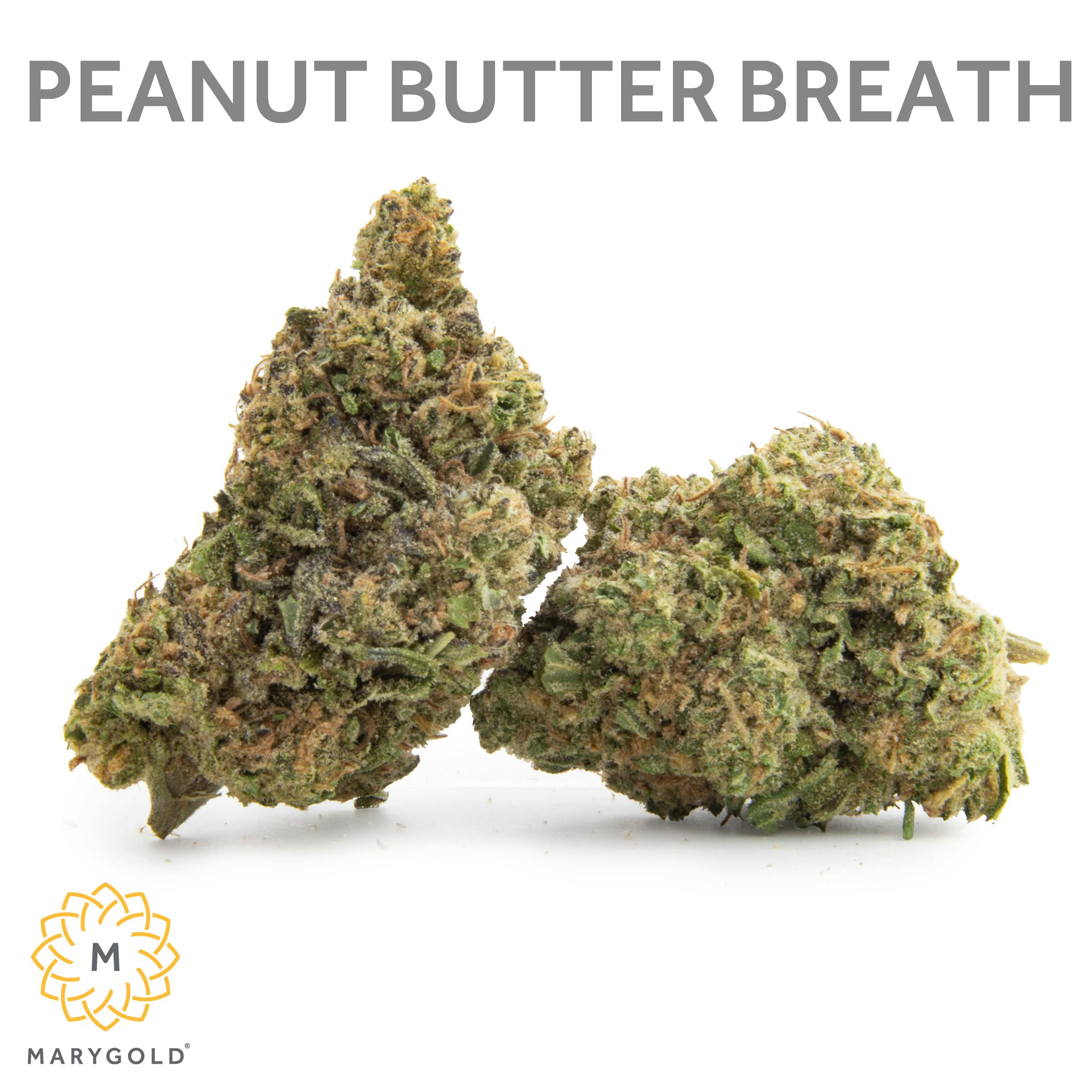 Marygold Peanut Butter Breath 3.5g (34 THC Hybrid) Weedmaps