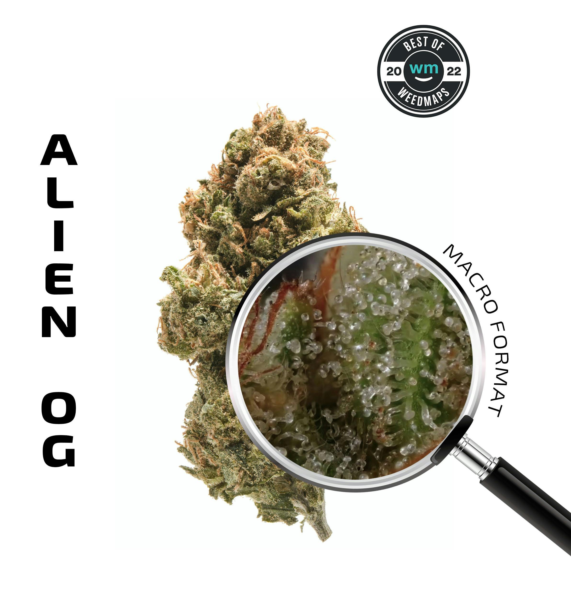 Alien OG (Hybrid) — 3.54g Premium Flower - APE Premium Cannabis Corp