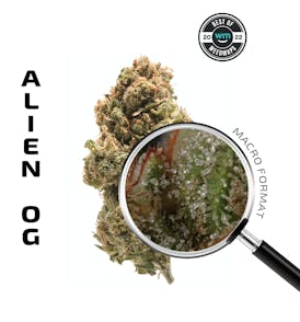 Alien OG (Hybrid) — 3.54g Premium Flower