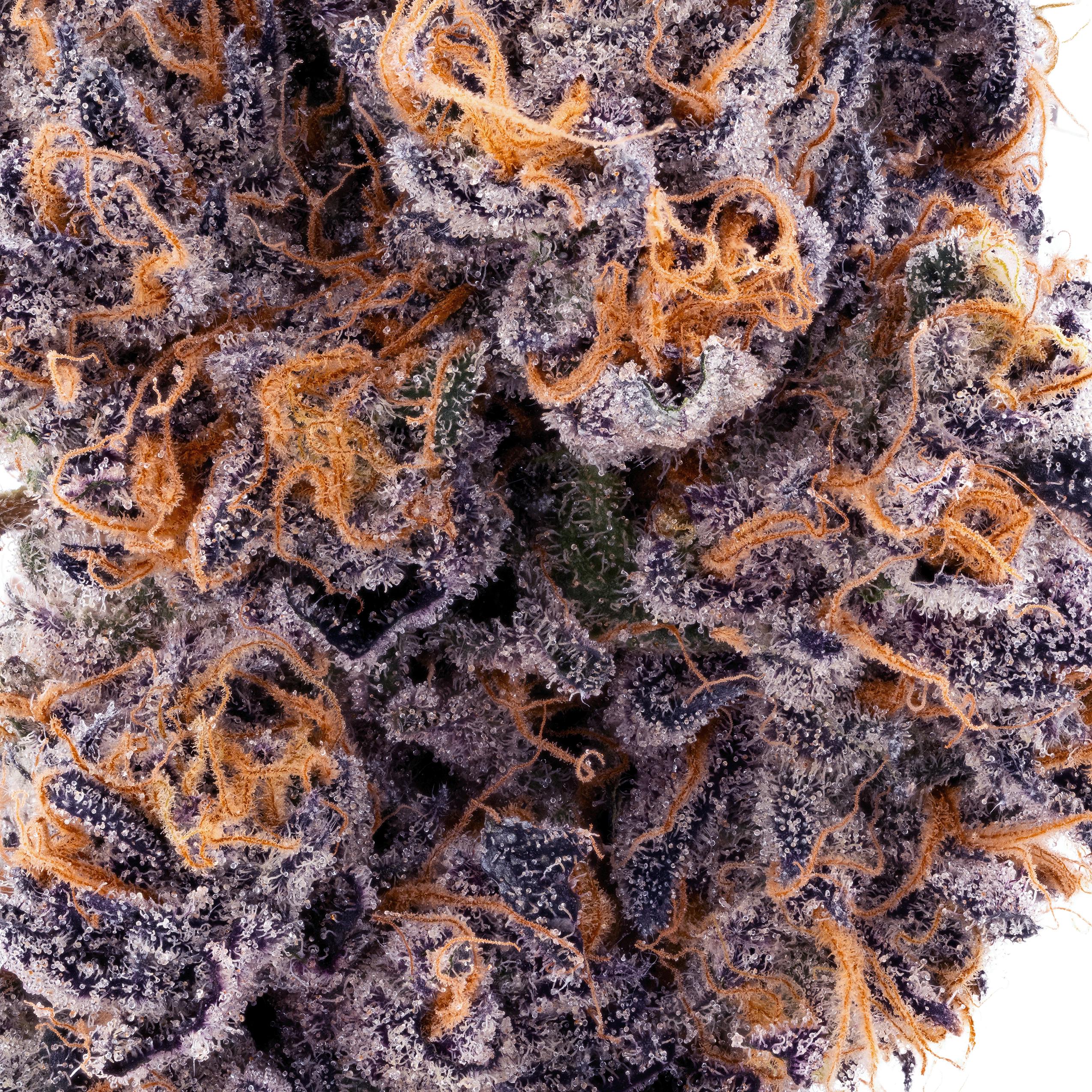 Lumpy's Flowers — Zoap