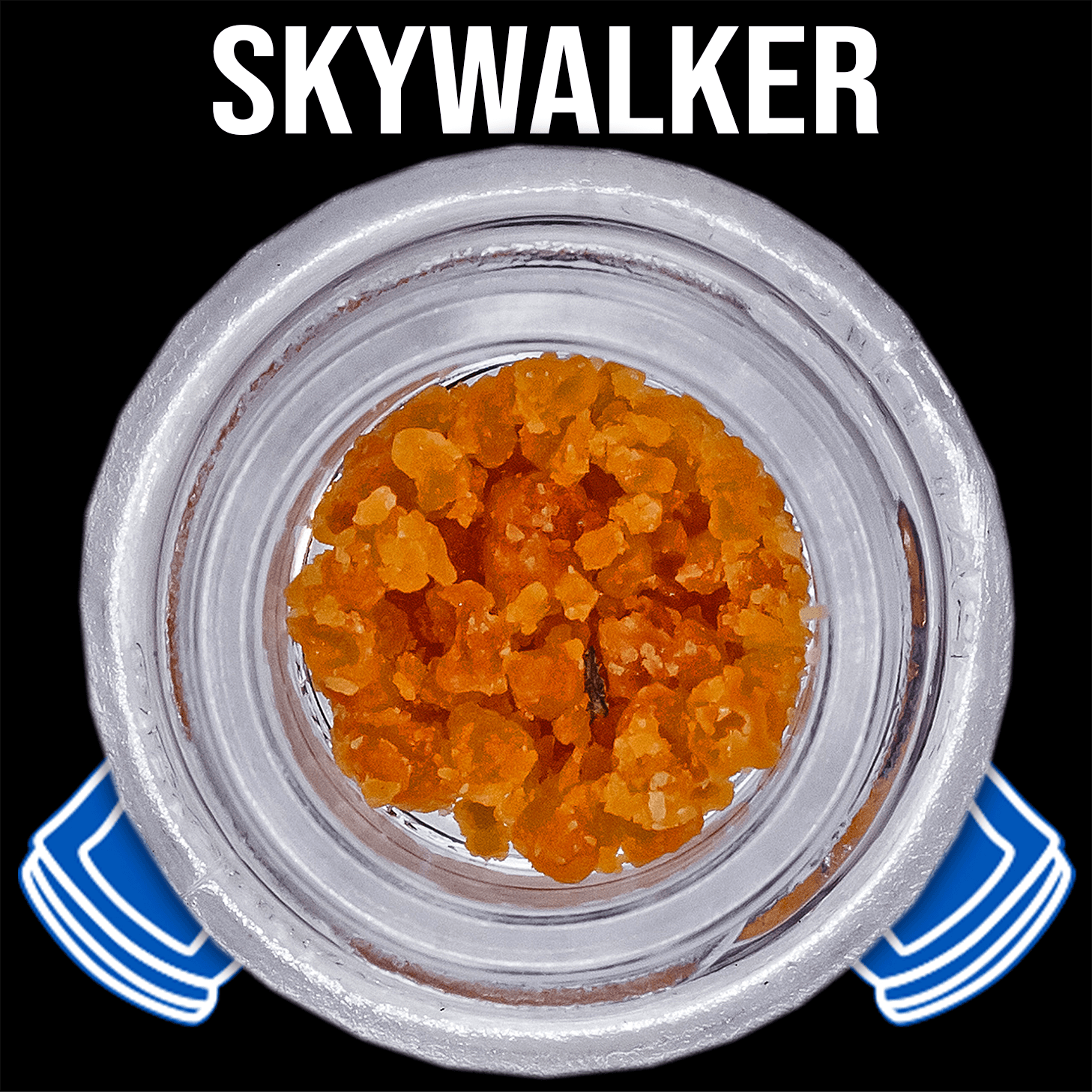 The Fight: Skywalker
