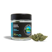 GHF | GUSH MINTS | FLOWER | 3.5G