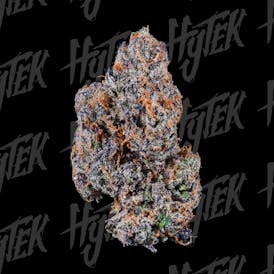 HYTEK | PINK RUNTZ | BULK DELI FLOWER