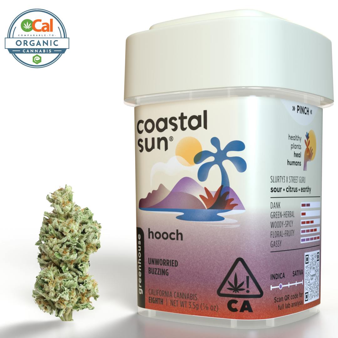 Hooch Greenhouse Flower 3.5g by Coastal Sun