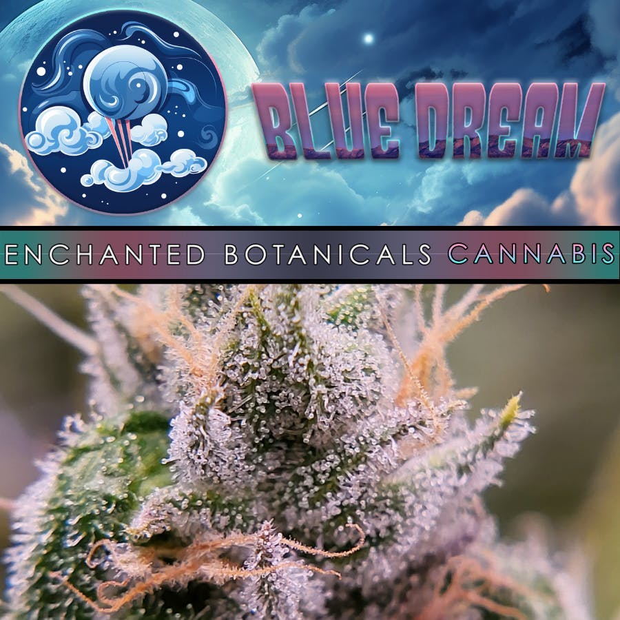 Blue Dream Flower
