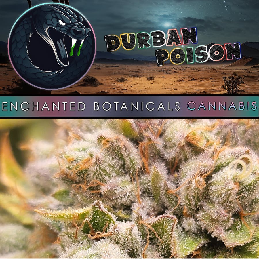 Enchanted Botanicals | Durban Poison | Flower
