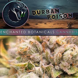 Enchanted Botanicals | Durban Poison | Flower