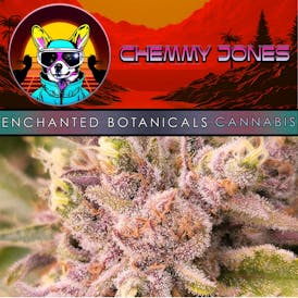 Enchanted Botanicals | Chemmy Jones | Flower