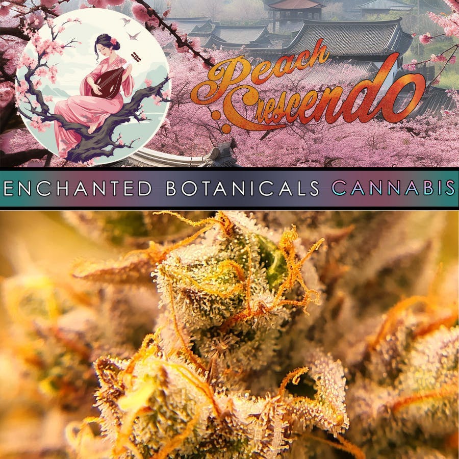 Peach Crescendo Flower