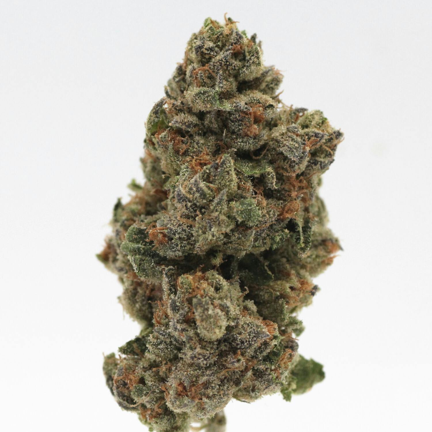 Canna Organix: Cereal Milk