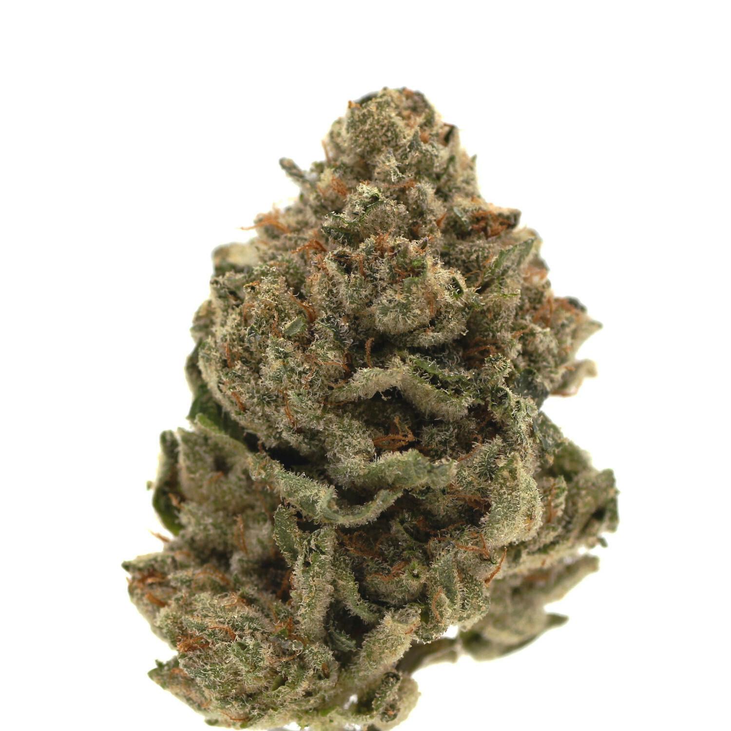 Gluelato | Flower | 1g
