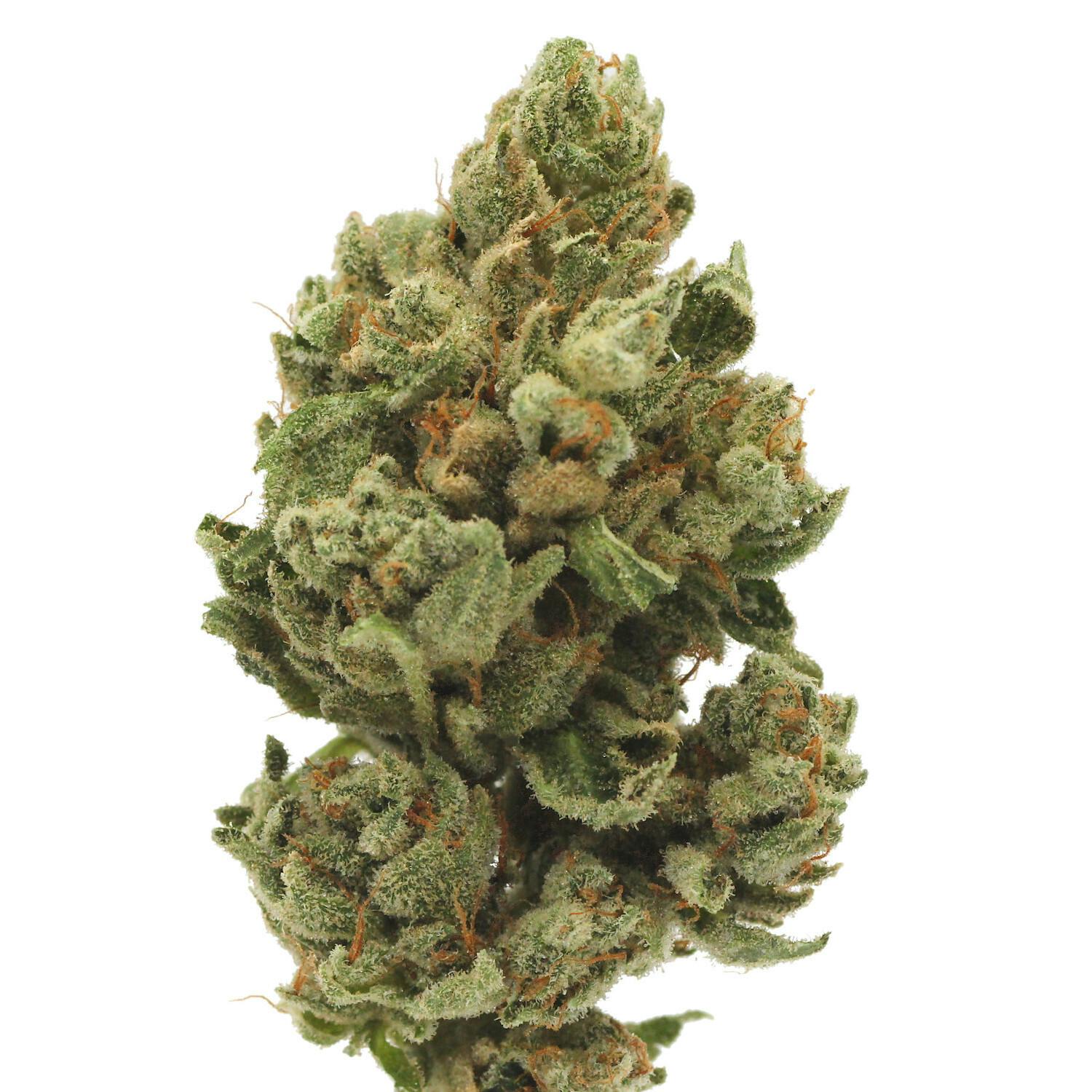 The Glue | Flower | 3.5g