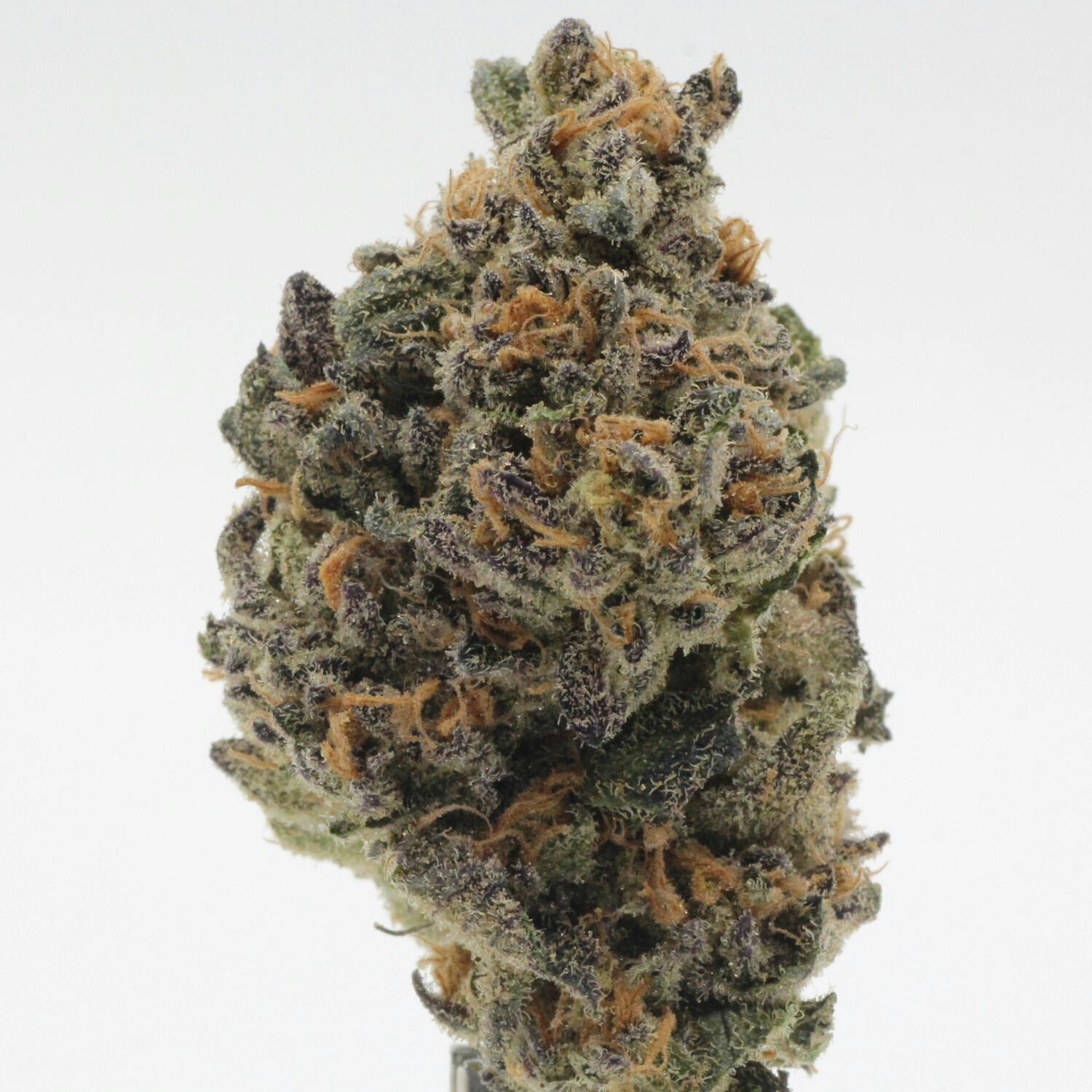 XYZ | Flower | 1g