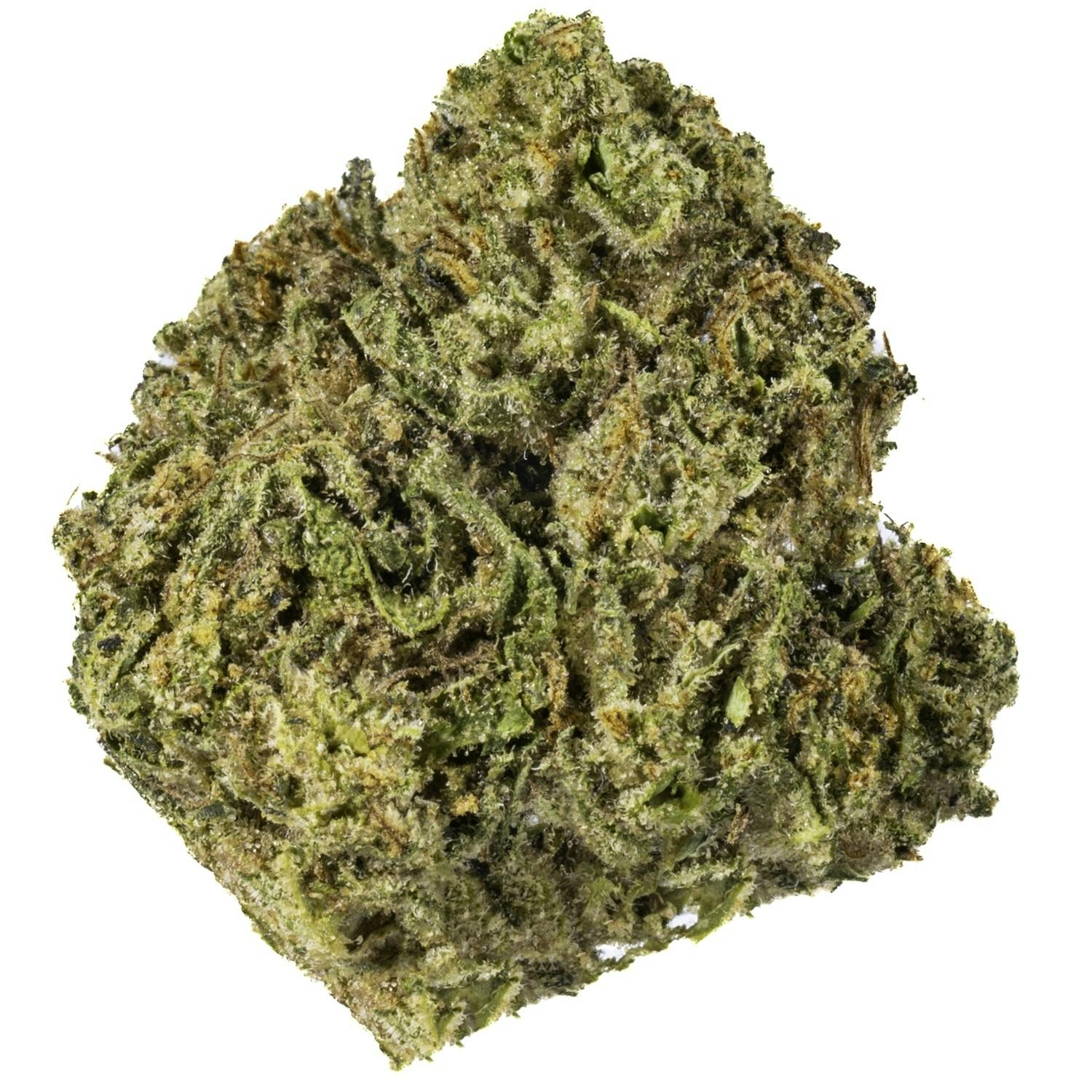 West Coast Cure — Vice City