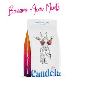 Candela Banana Acai Mints 3.5G Prepack