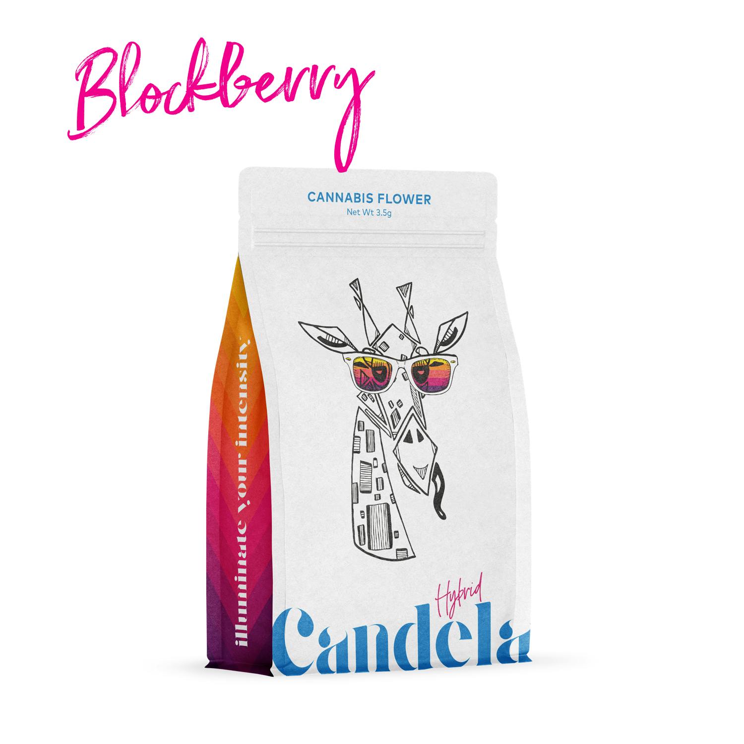 Candela Blockberry 3.5G Prepack at Elevated Exotics Republic Recreational Cannabis Dispensary