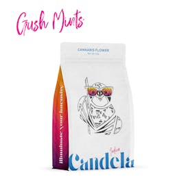Candela Gush Mints 3.5G Prepack