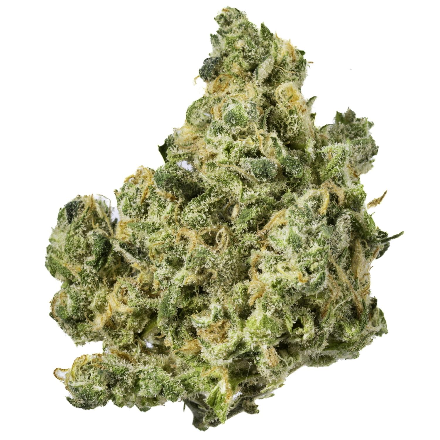 West Coast Cure: Blue Dream