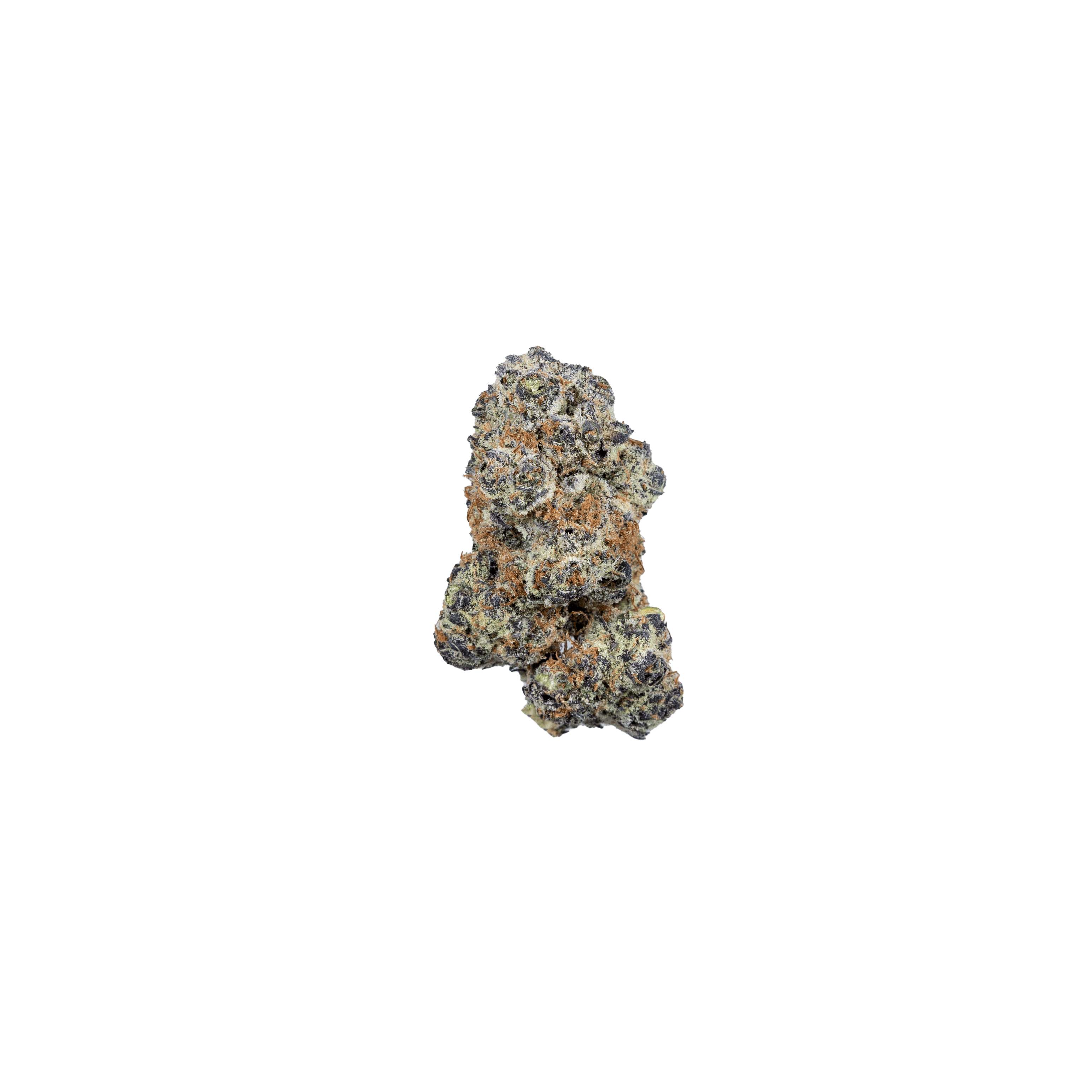 Zookies by High Minded