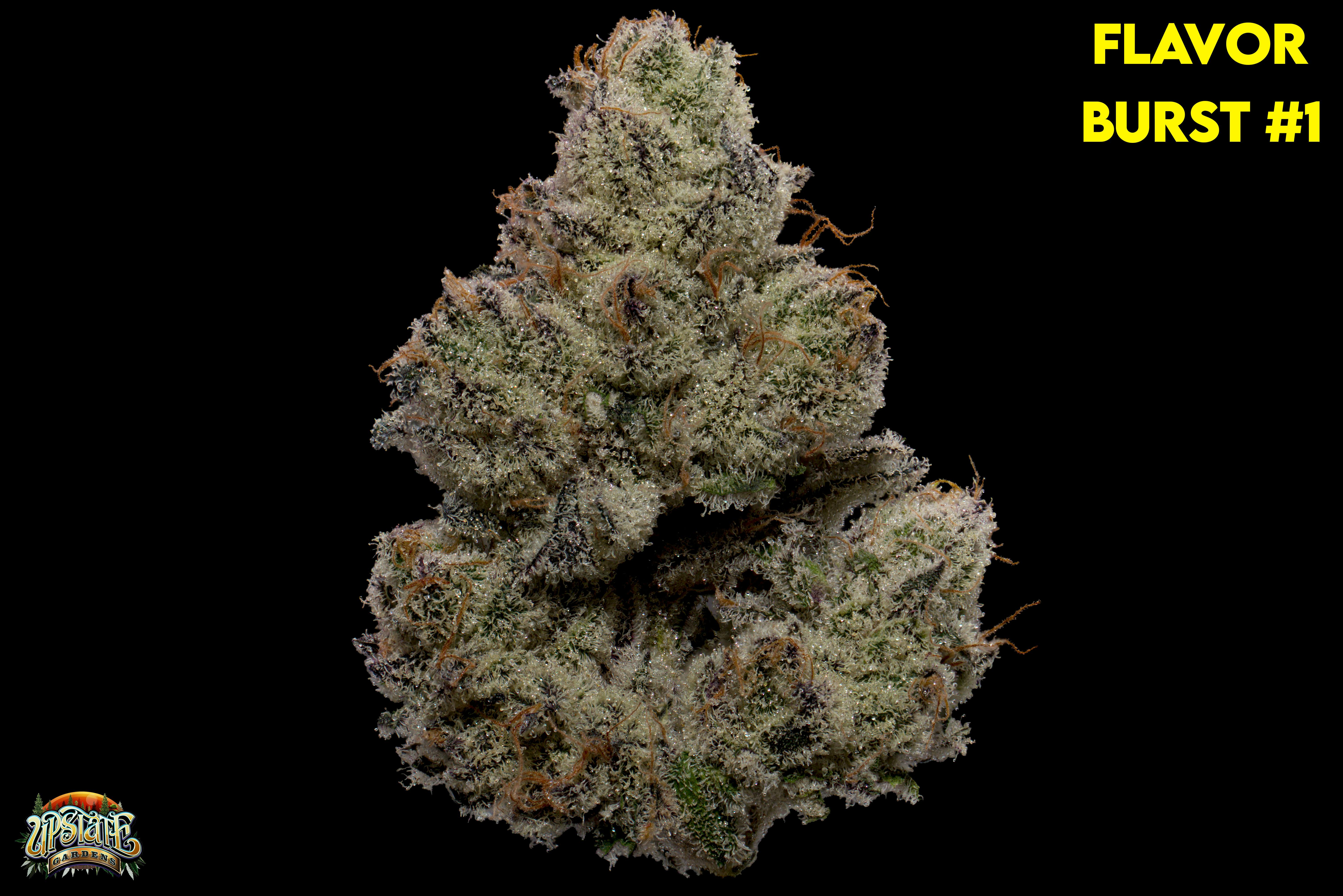 Flower: Flavor Burst # 1